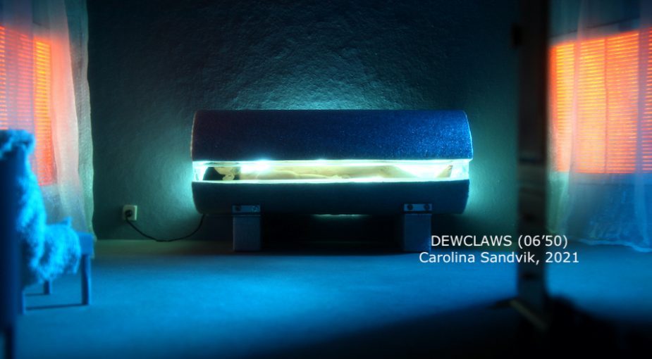 Carolina-Sandvik-2-925×510-c-default